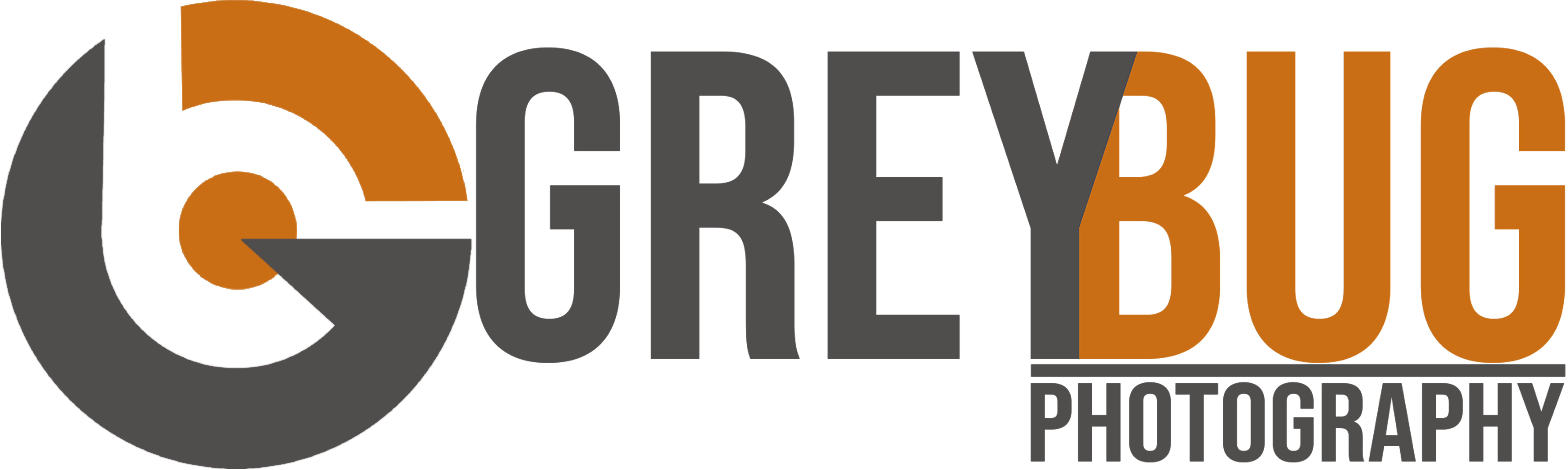 Grey Bug Photography News